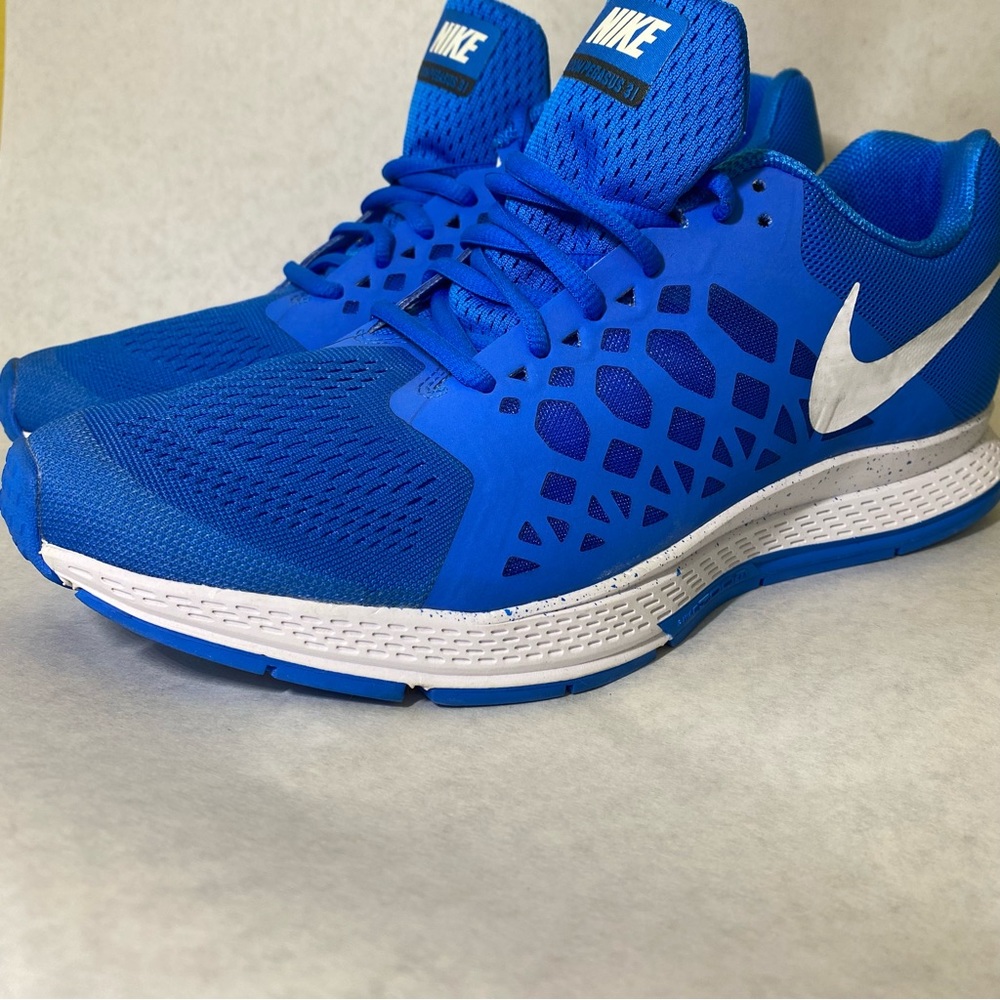 Nike Zoom Pegasus 31